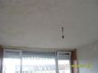 SDC13115.JPG