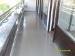 SDC13482.JPG