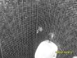 SDC13225.jpg